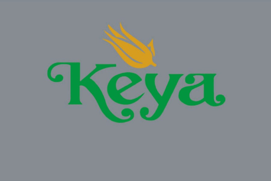 Keya Cosmetics recommends 10pc div