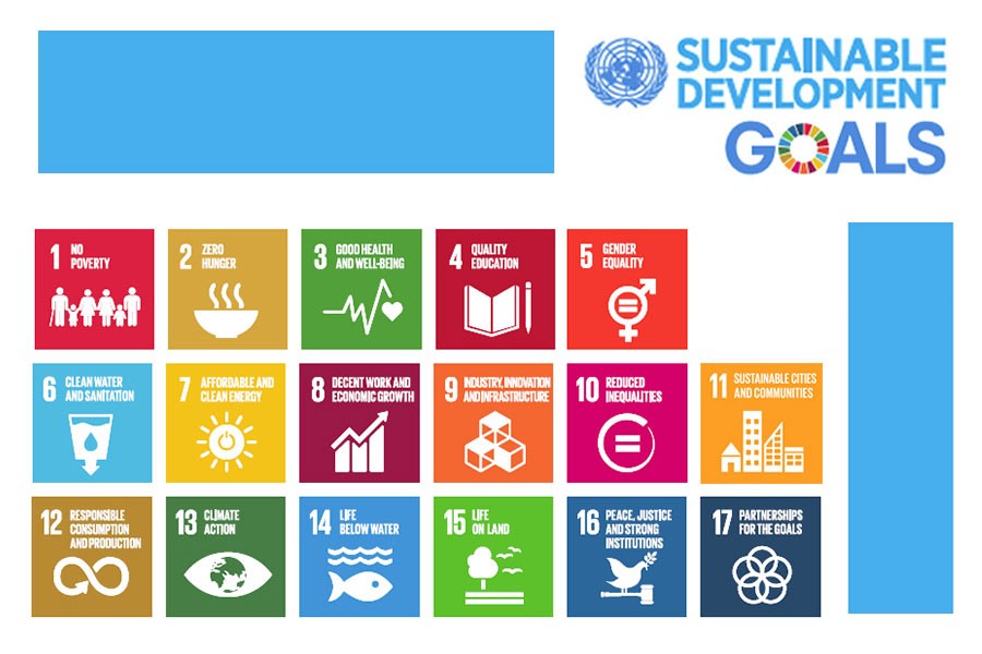 Taking up the challenge of SDGs implementation