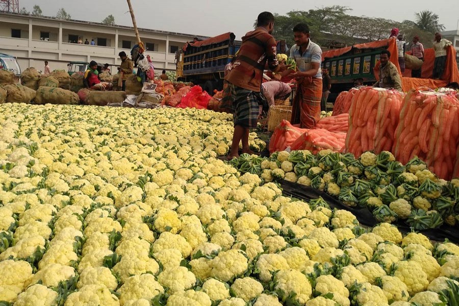 Labourers in a local wholesale market under Shibganj upazila of Bogura filling sacks with the newly-harvested cauliflowers on Thursday to transport to different areas across the country     	— FE Photo