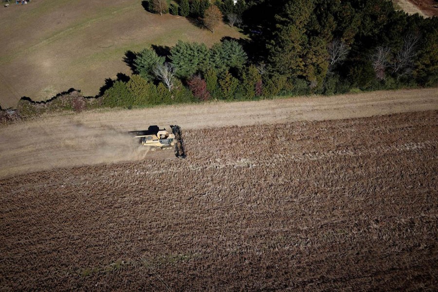 Lucas Richard of LFR Grain harvesting soybeans at a farm in Hickory, North Carolina             	— Reuters