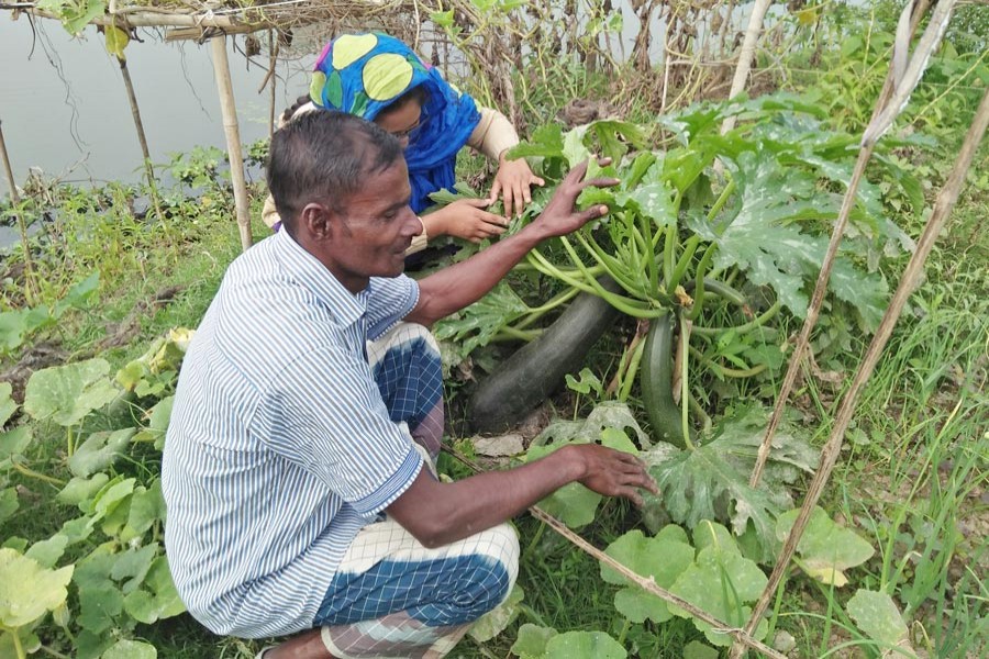 Farmers taking care of a vegetable field under Derai upazila of Sunamganj on Tuesday   	— FE Photo