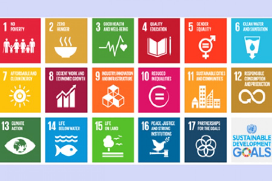 SDGs implementation pathway: A whole society approach – I