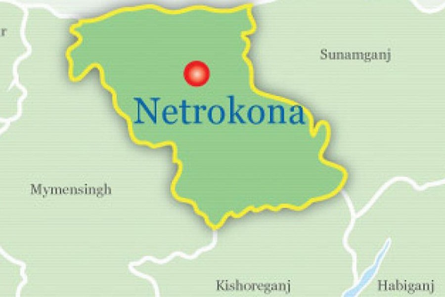 Two die in Netrokona road accident