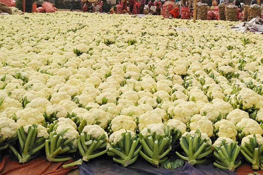 Cauliflower production, market  price satisfactory in Joypurhat