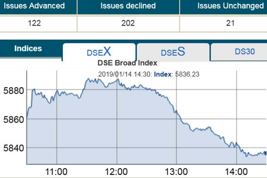 DSE cools off after record high