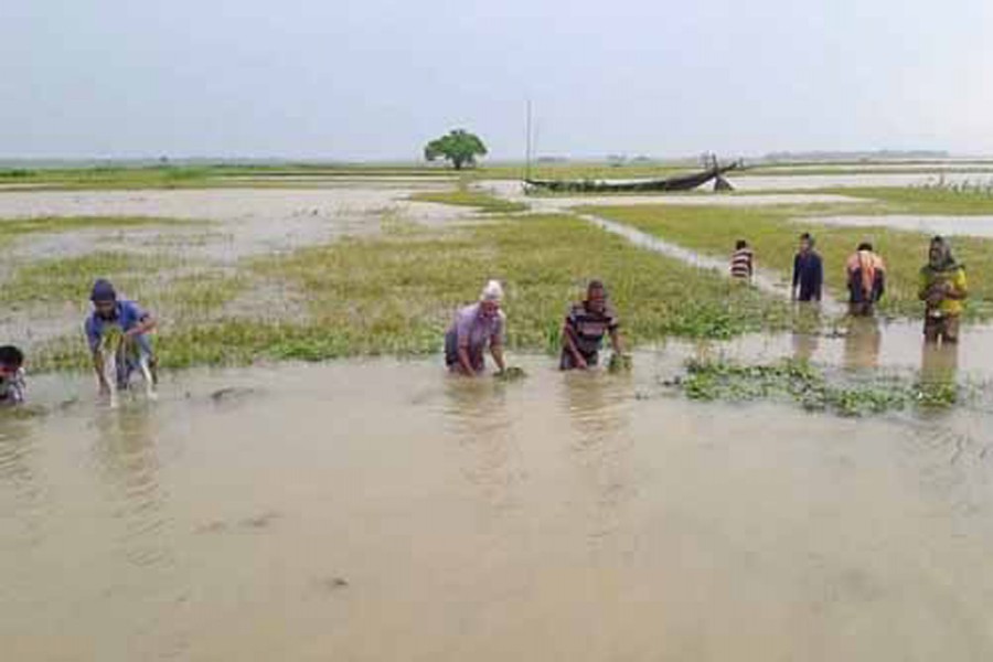 Flash floods in Haor in 2017