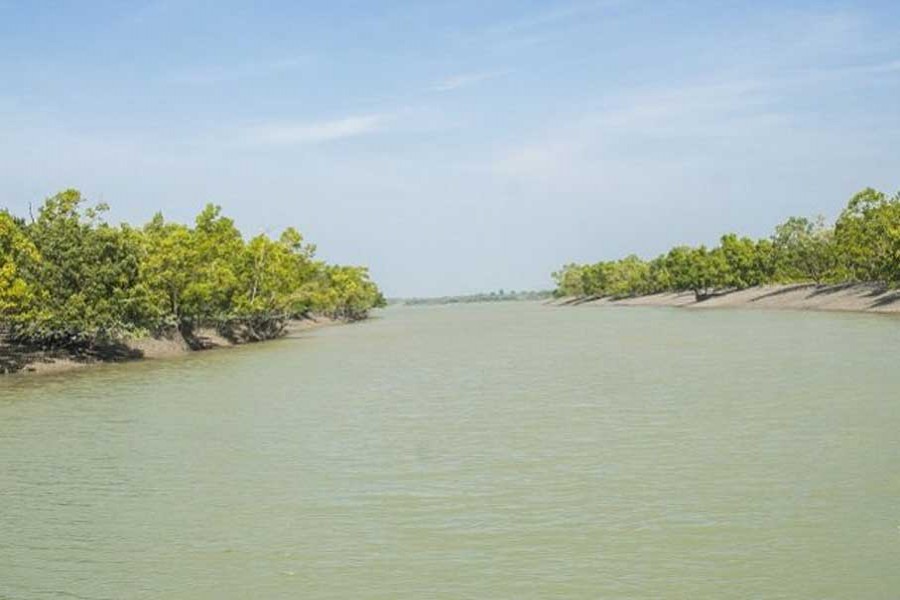 Ensuring sustainability of life on land - preserving Sundarbans
