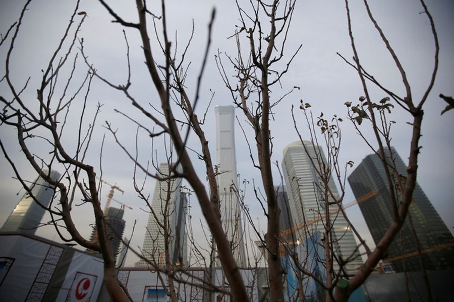A tree is pictured in front of buildings in Beijing's central business area, China, January 18, 2019. Reuters