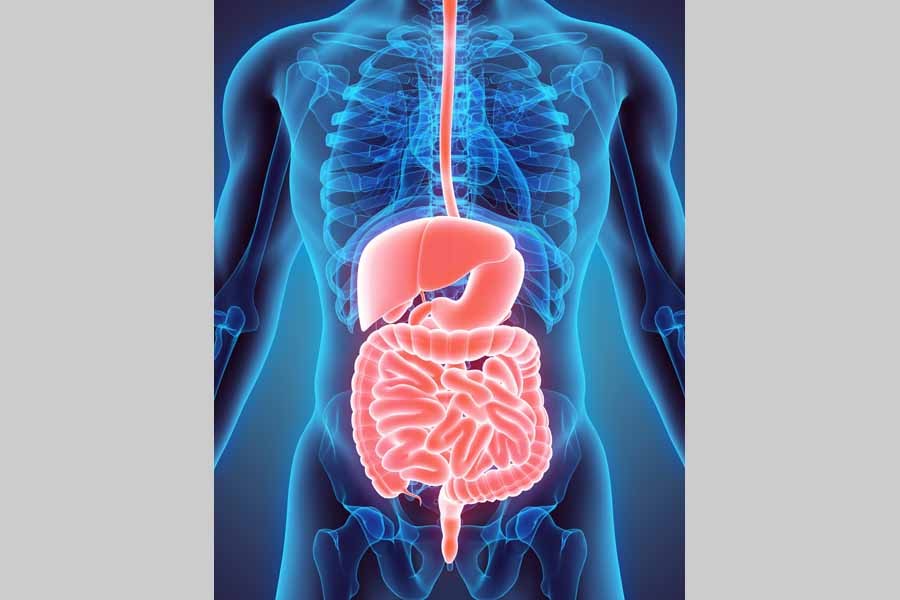 Preserving gastrointestinal tract health      