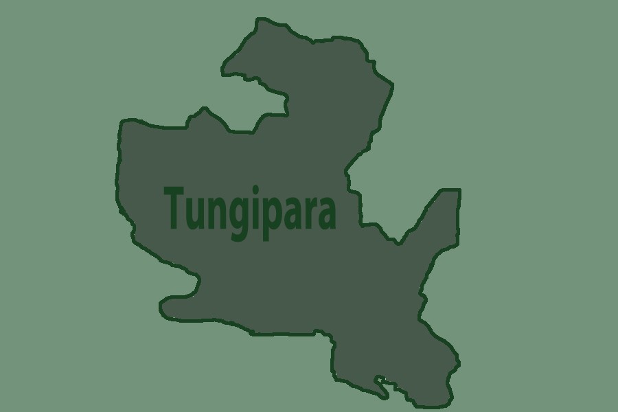 Mentally challenged student dies in Tungipara road crash