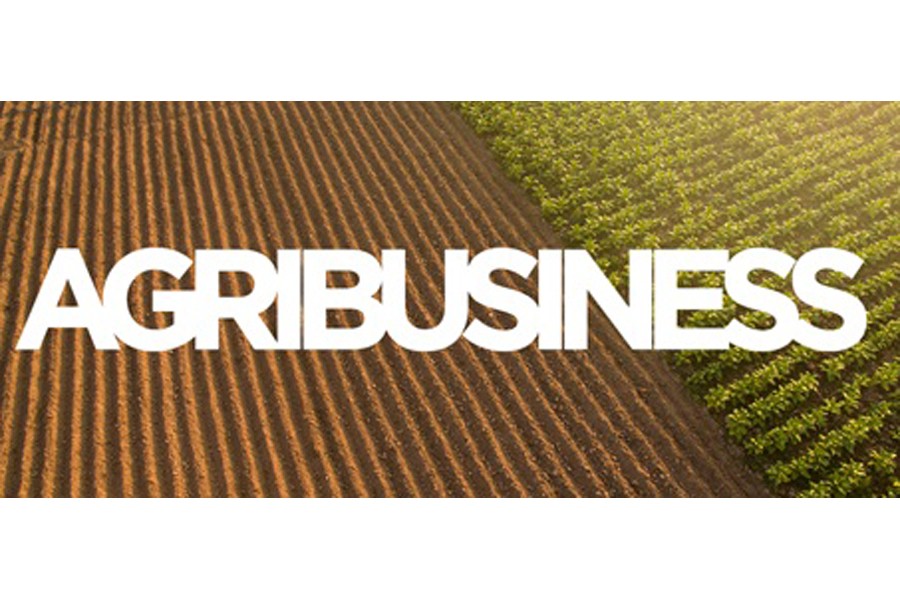 Agribusiness is the problem, not the solution