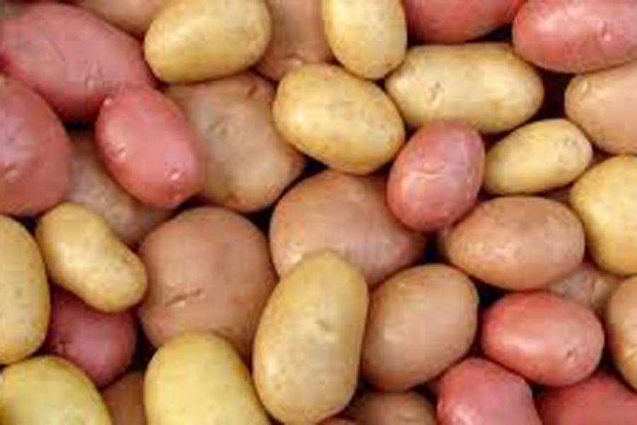 Reversal in potato export