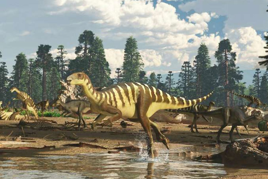 Artist's impression of a Galleonosaurus dorisae herd on a riverbank in the Australian-Antarctic rift valley during the Early Cretaceous, 125 million years ago -  Photo Credit: James Kuether