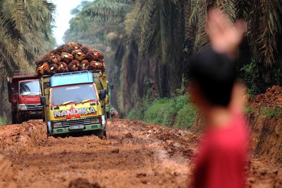 Trucks carrying palm oil fruit on a damaged road at Mesuji Raya village in Ogan Komering Ilir, South Sumatra province, Indonesia   	— Reuters