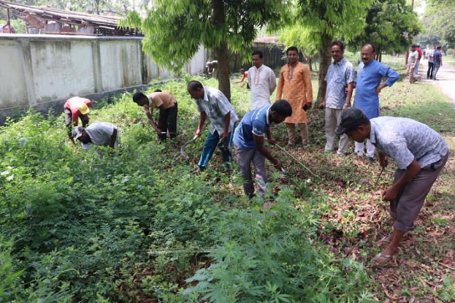 RCC launches mosquito control drive on RU campus