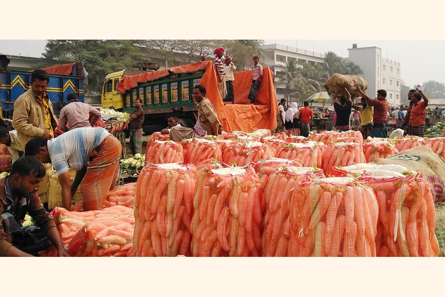 Labourers at a vegetable wholesale market in Shibganj upazila of Bogura district taking preparation to load a truck with locally-produced summer radish on Monday   	— FE Photo