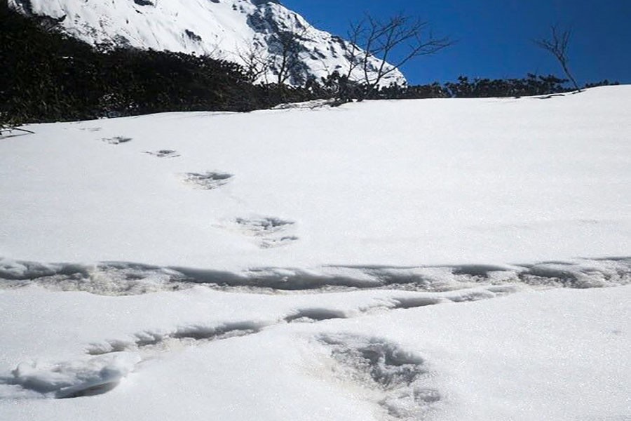 Yeti footprints found in Nepal !