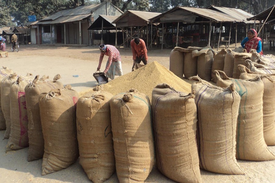 The wholesalers of Boro Tara area under Khetlal upazila of Joypurhat district purchasing paddy from the peasants for sale to buyers from other districts — FE/Files