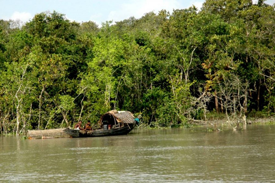 According to the current price in the Chicago carbon market, the carbon reserve in the Sundarbans would help the country earn over Tk 188 billion