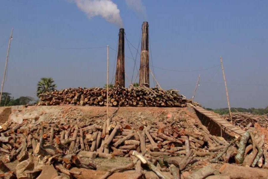 95pc brick kilns use eco-unfriendly technology to meet demand