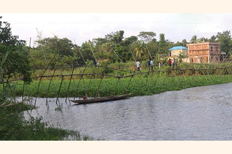 50,000 people in three upazilas in  trouble for risky bamboo bridge