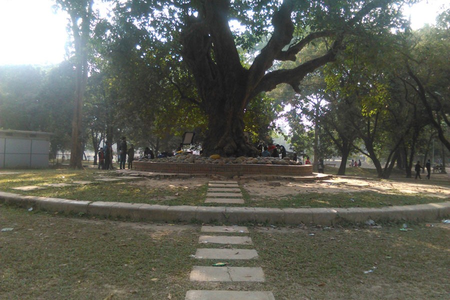 Ramna Park, a place of greenery in the city