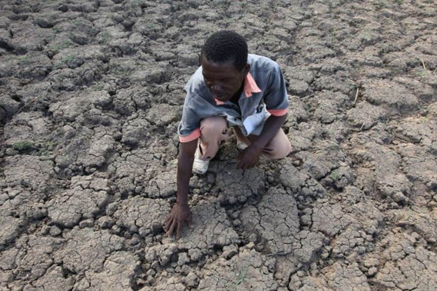 A farmer in Zimbabwe examines a field where crops once grew -  AP