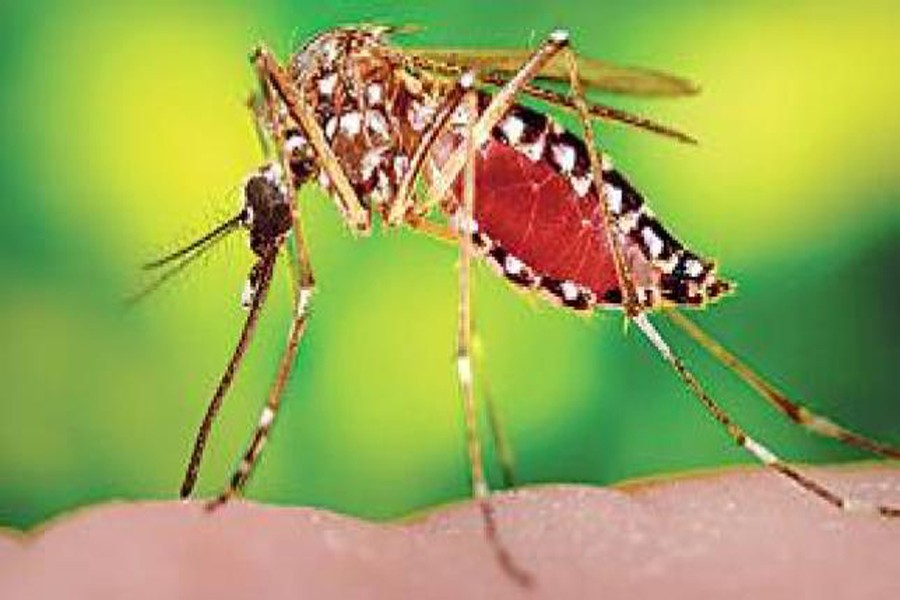 Dengue situation turned serious for lack of prior preparations: Minister