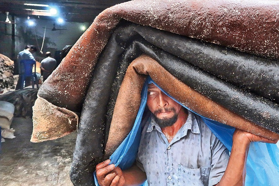 A worker carrying a headload of salted rawhide for a wholesaler at Posta in Dhaka city on August 15, 2019 — FE photo by Shafiqul Alam