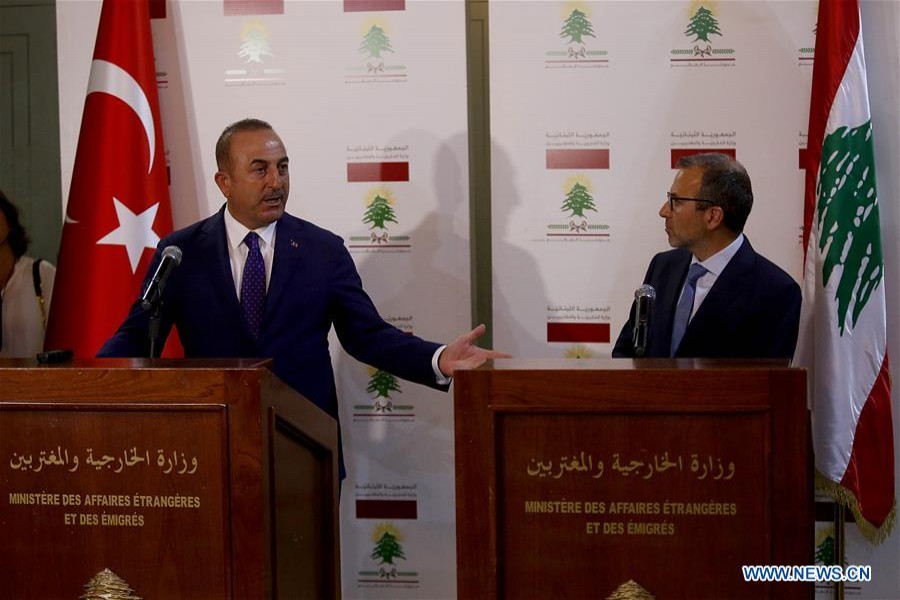 Turkey aims to invest in Lebanon: Turkish FM
