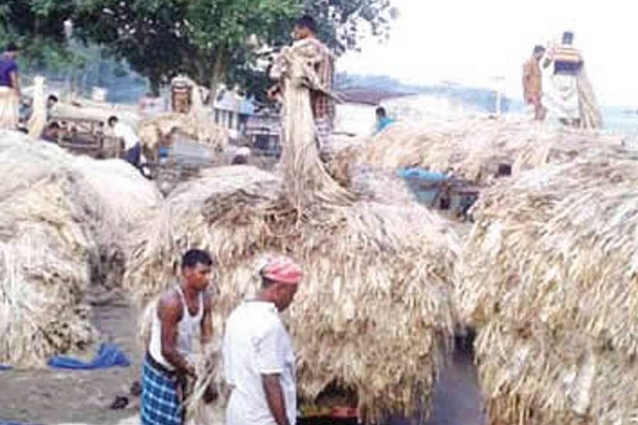 ‘Syndicate’ controls jute market of Sirajganj
