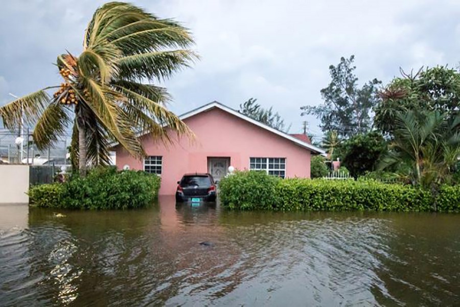 A palm tree bends in the wind next to a flooded street after the effects of Hurricane Dorian arrived in Nassau, Bahamas on September 2, 2019 — Reuters photo
