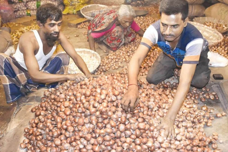 Labourers sorting out onion at a wholesale kitchen market under Akkelpur upazila of Joypurhat district 	— FE Photo