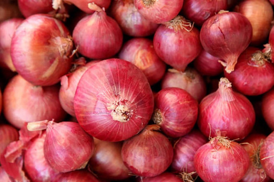 Onion price going down slowly