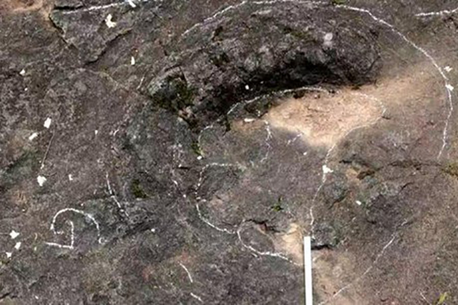 Picture shows the footprints of dinosaurs dating back to 100 million years ago. They were discovered in Baxiangang, a village in Lanxi, East China's Zhejiang Province, China. Photo courtesy: Xing Lida