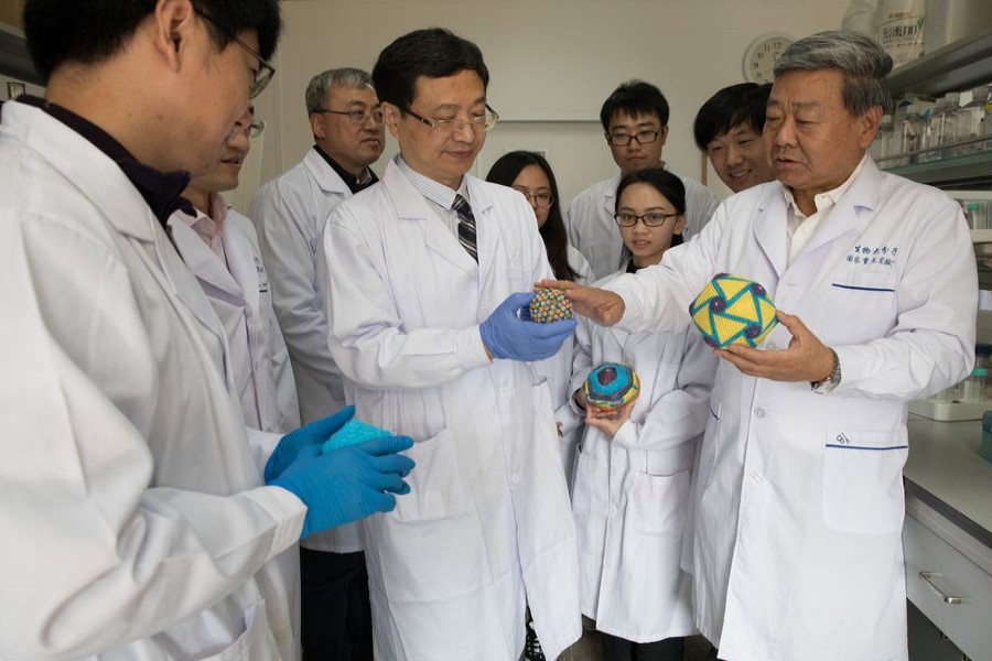 Rao Zihe (front right), Bu Zhigao (front middle), Wang Xiangxi (front left) and other researchers exchange opinions about the structures of the African swine fever virus in the laboratory of the Institute of Biophysics of the Chinese Academy of Sciences, Oct. 18, 2019. (Xinhua/Jin Liwang)