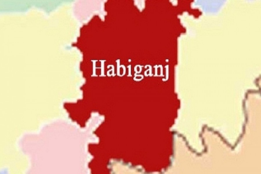 Two killed in Habiganj road accident