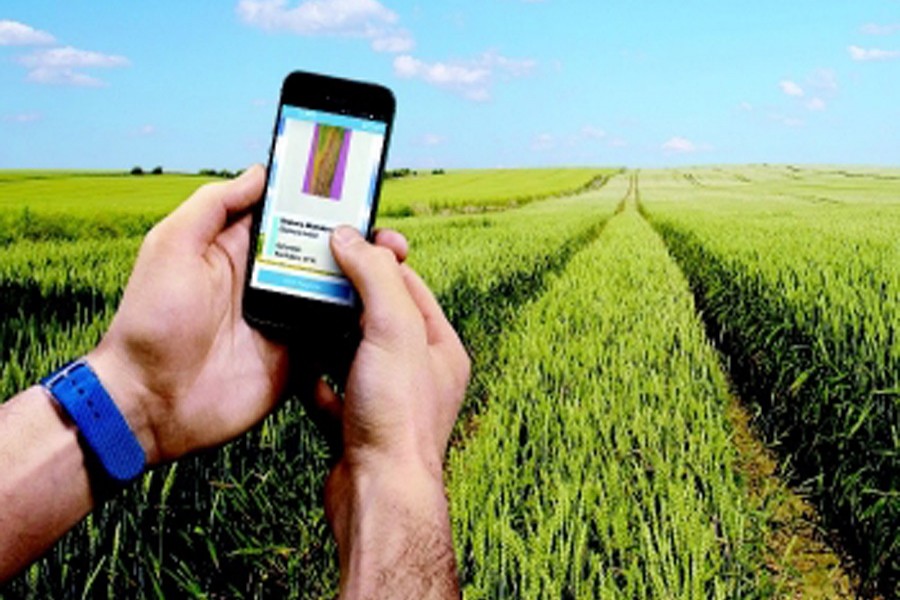 A farmer is using his smartphone to assess the fertiliser and pesticide needs of crops in Germany. Photo: Internet