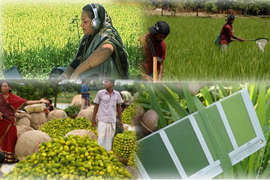 Agro-food processing industry in Bangladesh: An overview