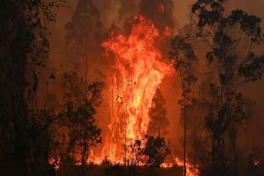 Australia bushfires kill three, force thousands from homes