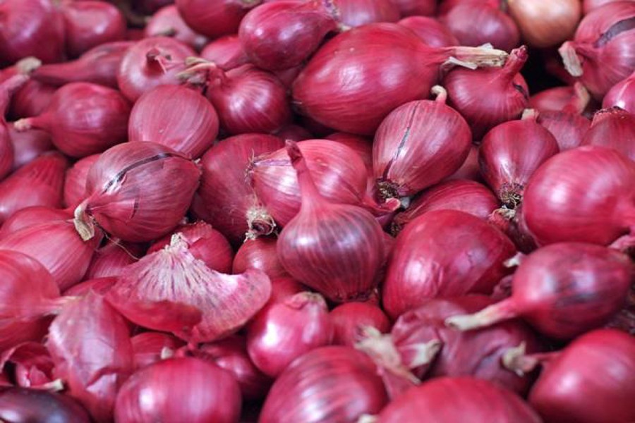 First consignment of Egyptian onion arrives Tuesday