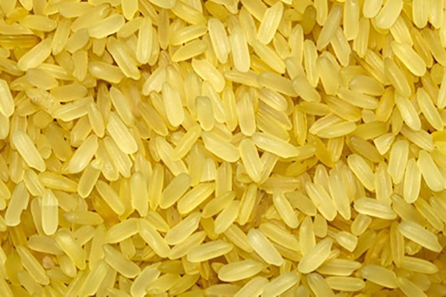 Golden Rice awaiting food safety clearance
