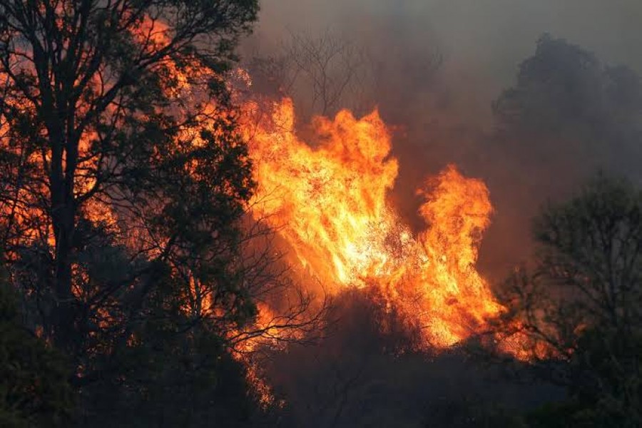 A bushfire rages near the rural town of Canungra in the Scenic Rim region of South East Queensland, Australia, September 6, 2019. Regi Varghese/AAP/via REUTERS