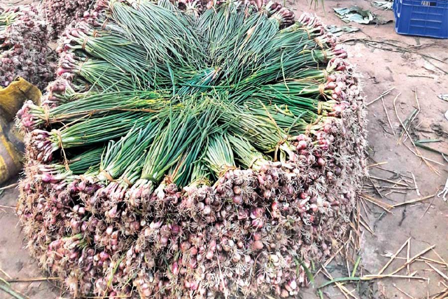 A pile of green onion in Tangail market	— FE photo
