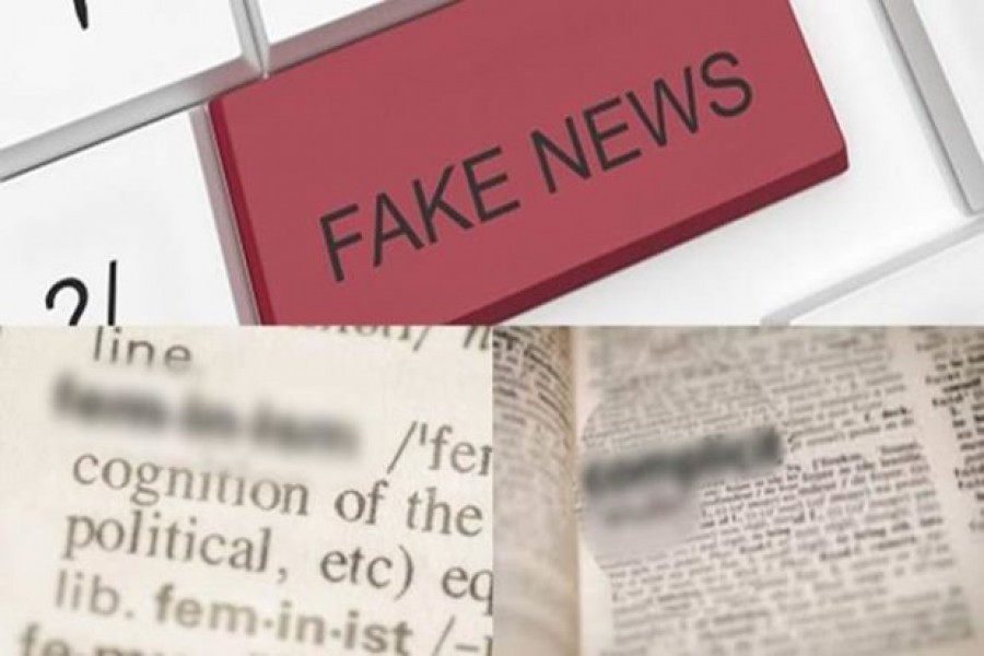 Singapore invokes fake news law over opposition party posts