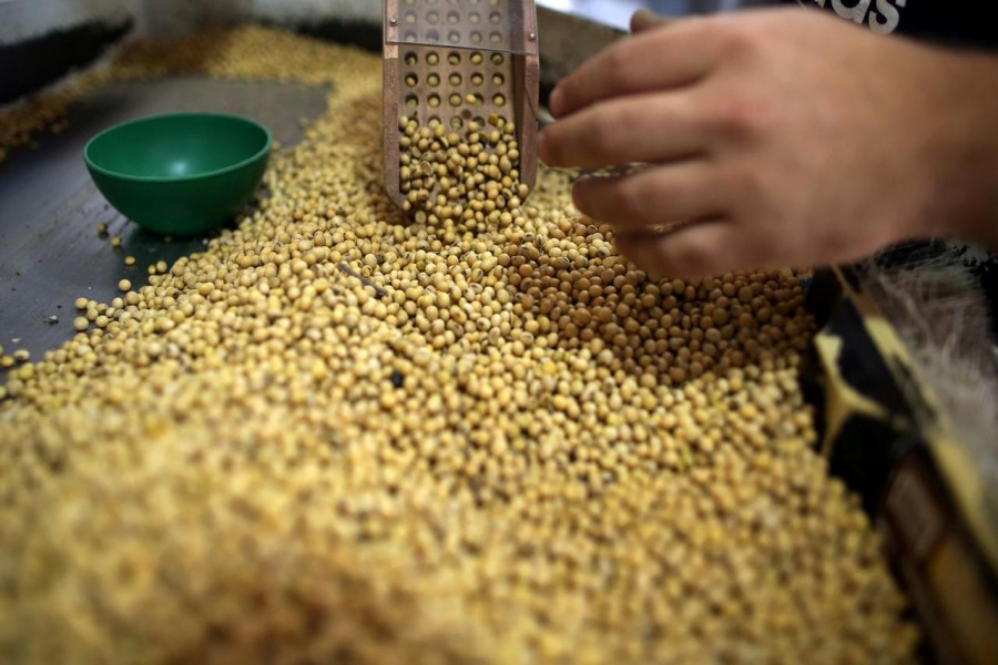 FILE PHOTO: Soy beans are seen at a Grobocopatel Hermanos company storage plant in Carlos Casares, Argentina April 16, 2018. REUTERS/Agustin Marcarian/File Photo