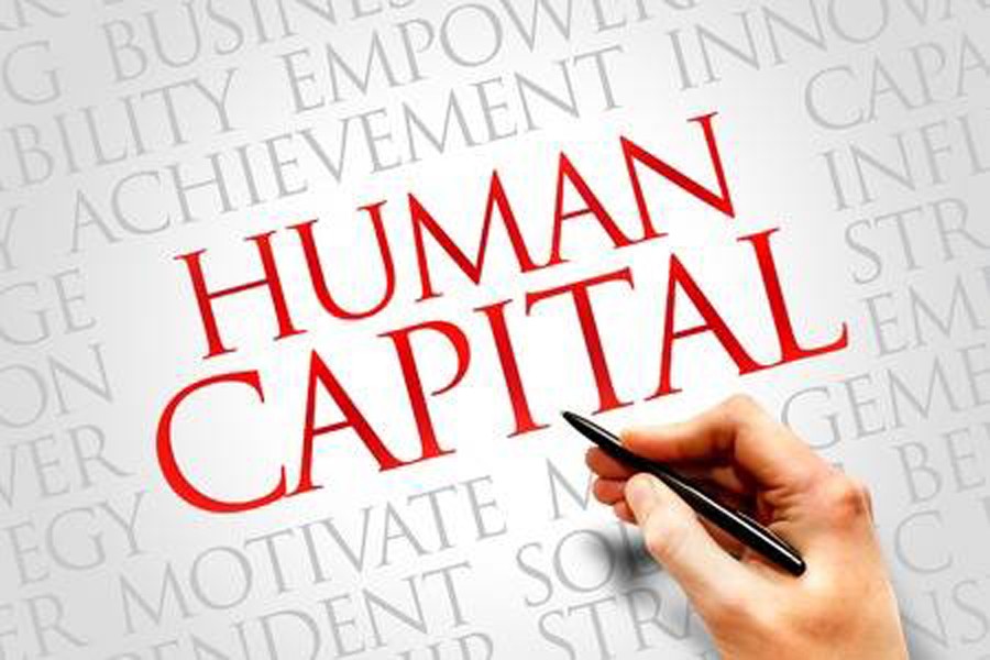 Role of private sector in  fostering human capital   