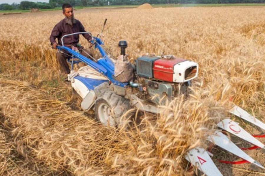 Govt going digital for procuring food grain from farmers