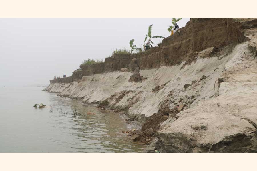 Erosion by the Padma river has taken a serious turn in Goalunda upazila of Rajbari district 	— UNB Photo