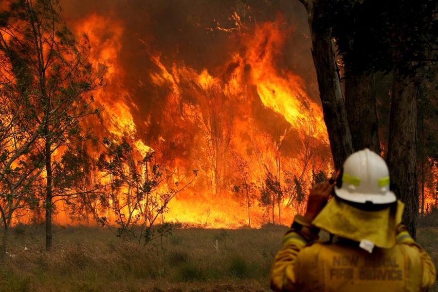FILE PHOTO: A firefighter on property protection watches the progress of bushfires in Old Bar, New South Wales, Australia November 9, 2019. AAP Image/Shane Chalker/via REUTERS